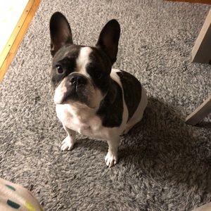 Meet your Posher, Janet